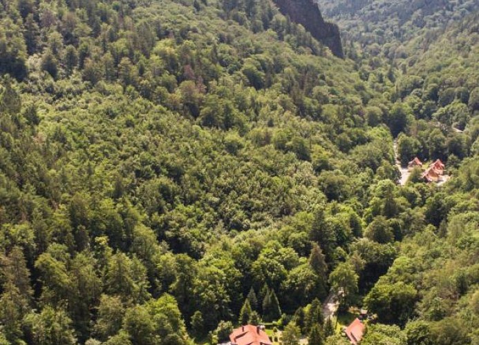 Ferienwohnung Ferienhäuser am Brocken, 80 qm, 3 Schlafzimmer